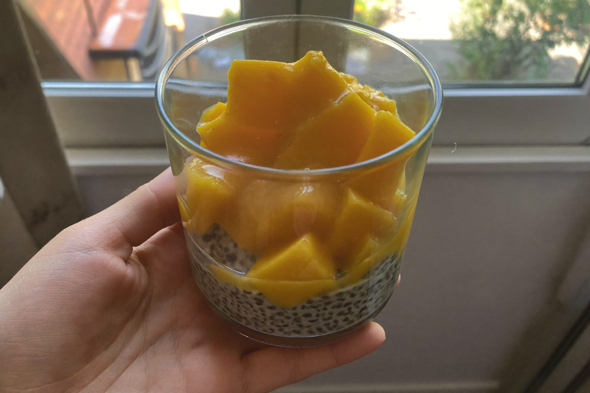 Pudding de chia à la mangue — recette anti-cholestérol